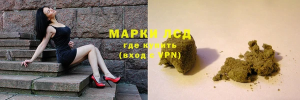 сатива Тайга