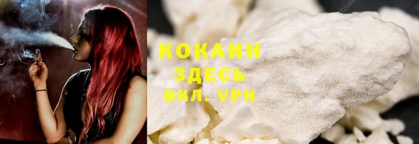 сатива Тайга