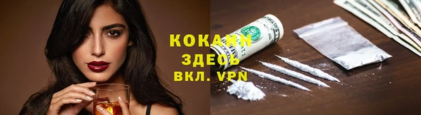 ПСИЛОЦИБИНОВЫЕ ГРИБЫ Верея