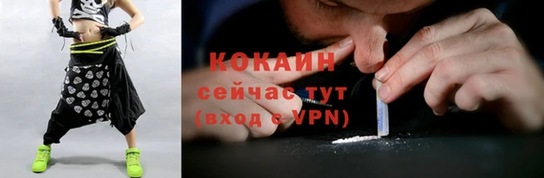 сатива Верхний Тагил