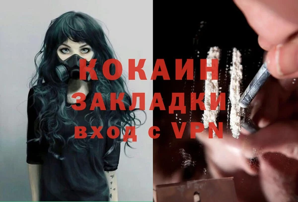 сатива Верхний Тагил
