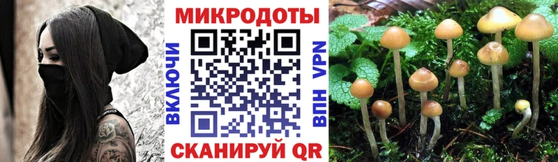 где можно купить наркотик  Жиздра  hydra как зайти  Галлюциногенные грибы прущие грибы 